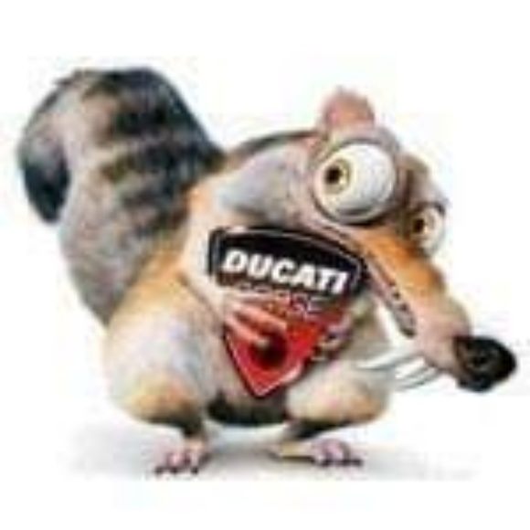 miducatiguy